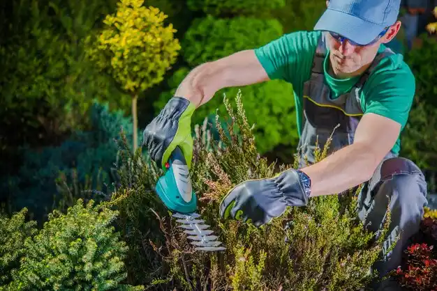 landscaping services Millersport